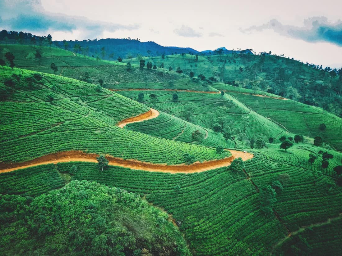 Colombo, Sri Lanka: Air India Premium Economy von Frankfurt ab 786€