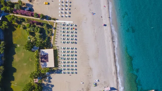 Dein Komplettpaket zum Hammerpreis 🤩🌴