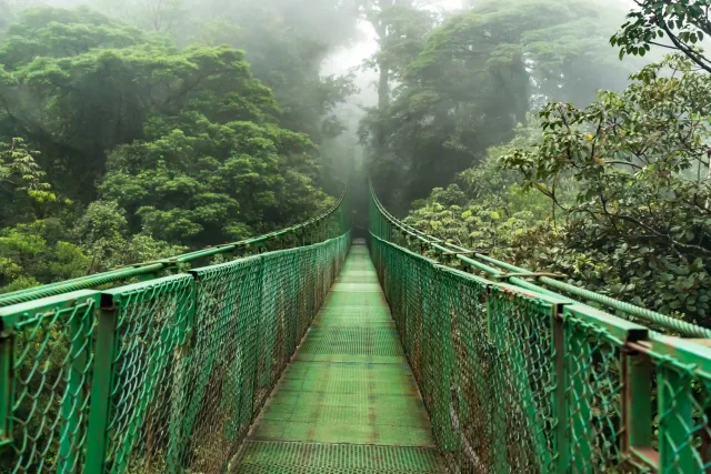 Entdecke Costa Rica: Vom Regenwald zum Traumstrand