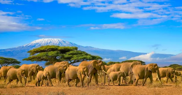 Günstige Flüge nach Kenia 🇰🇪