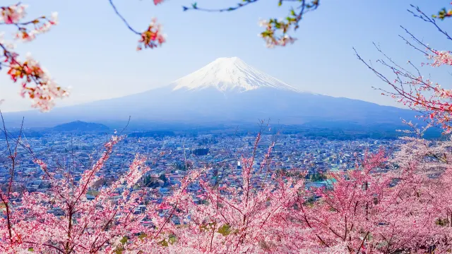 Iconic Japan: Futuristische Wunder & zeitlose Traditionen 🇯🇵