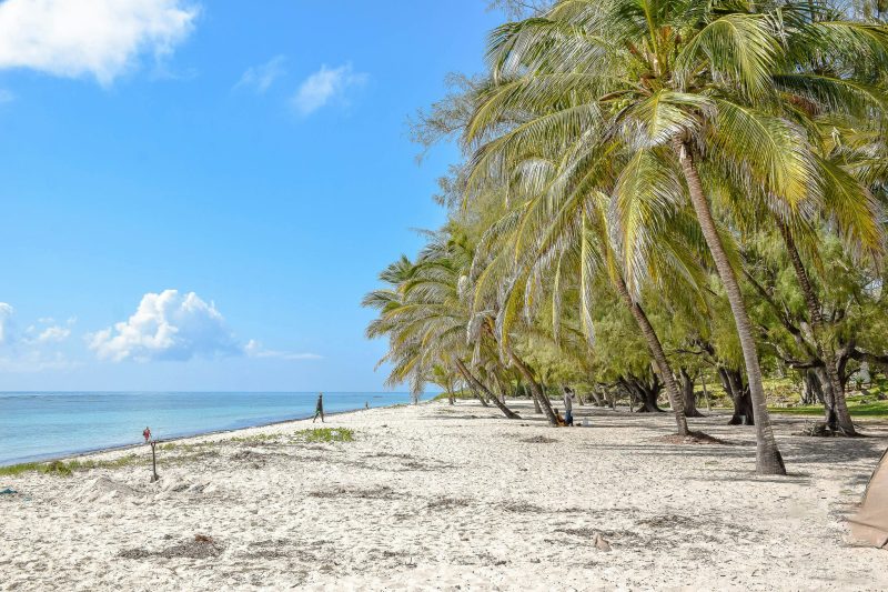 Last minute direct flights from Frankfurt to Mombasa, Kenya for €339