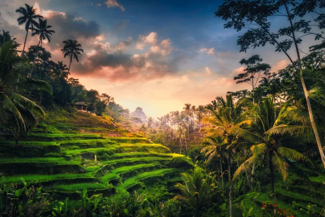 🌿 Magisches Bali: Mount Batur, Reisterrassen & Inseltraum Gili