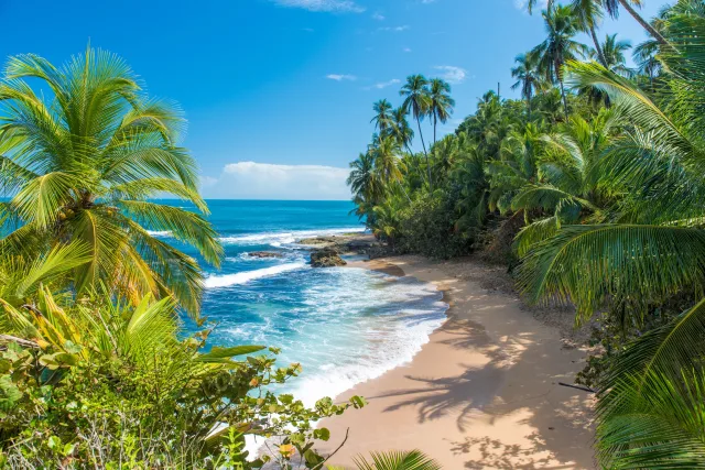 Traumstrände, Nebelwälder & Faultiere: Costa Rica! 🥹