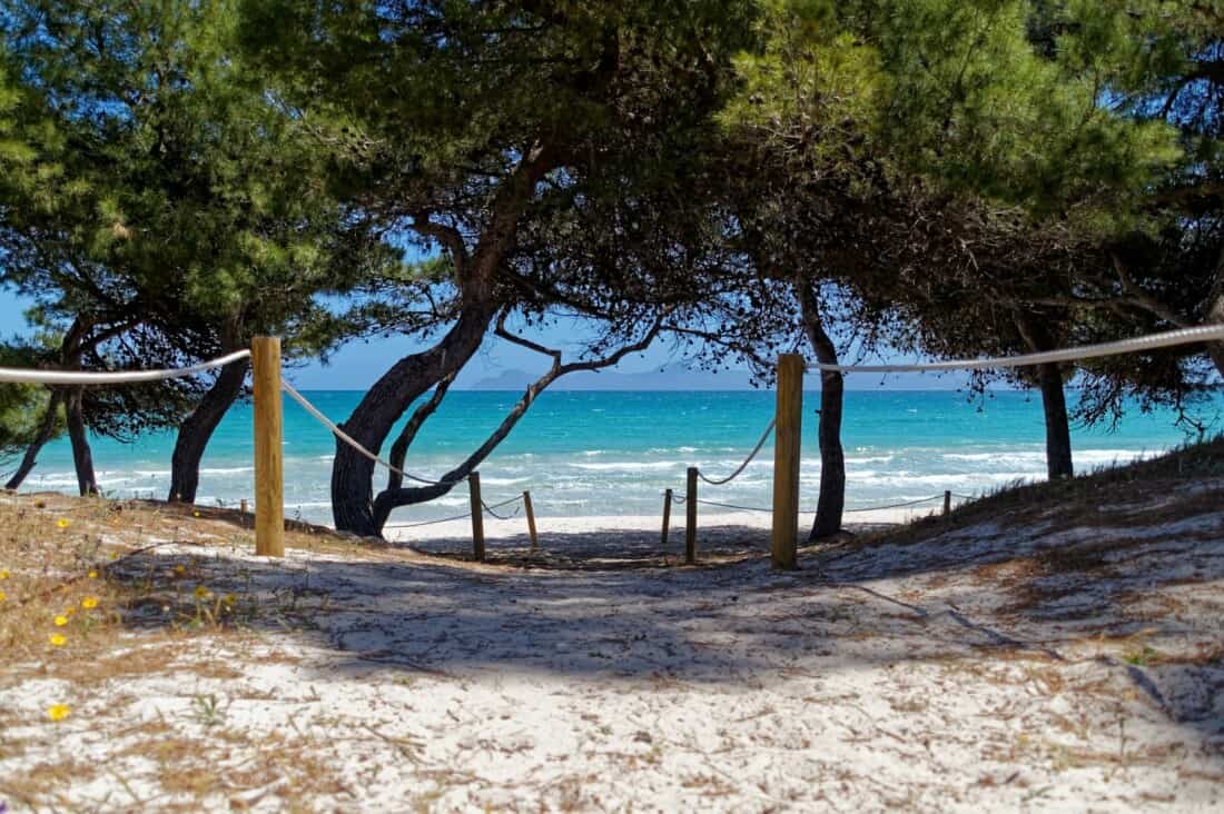 TUI Gutschein: Bis zu 300€ Rabatt auf Pauschalreisen & Hotels