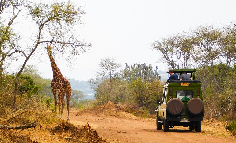 Cheap flights from Vienna to Rwanda for €469