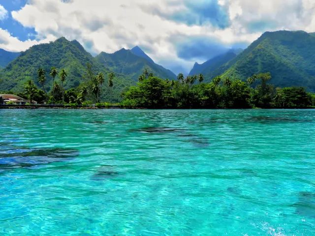 Hawaii- & Südsee-Kreuzfahrt 🌴