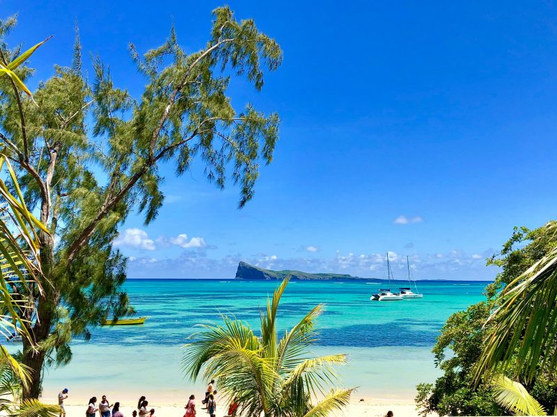 HIGH SEASON ☀️ 🌴 Lufthansa & Austrian flights from Germany to Mauritius from €561