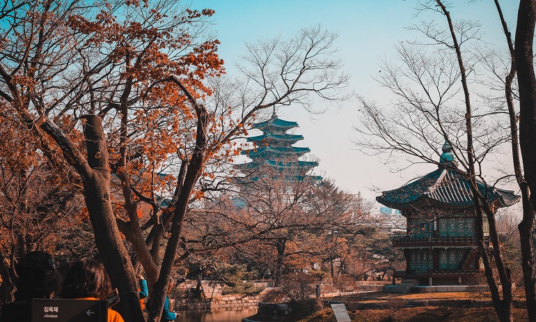 Lufthansa flights from Amsterdam to South Korea for €514