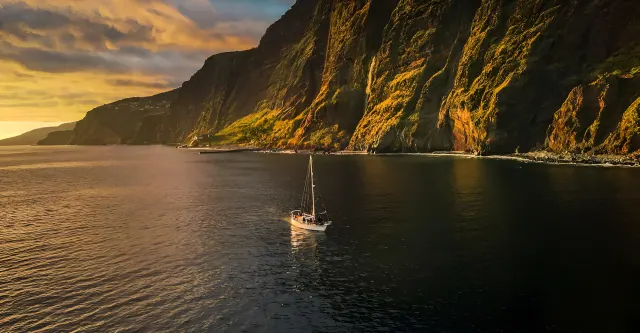 Madeira entdecken: spektakuläre Natur & Walbeobachtung 🐳
