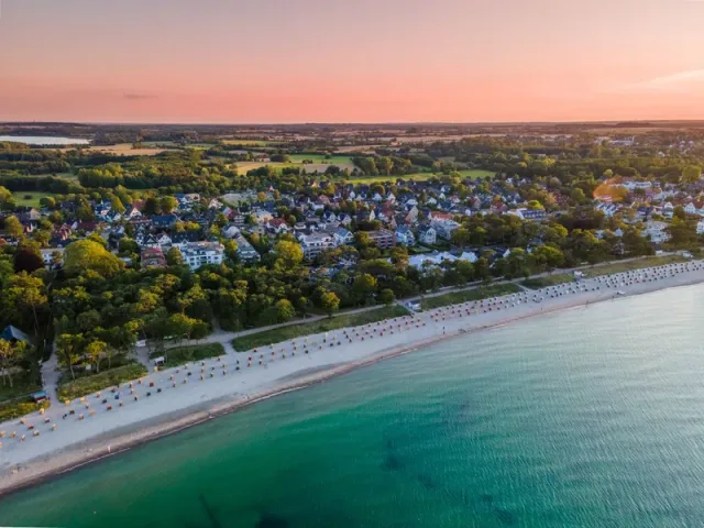 Miami-Vibes an der Ostsee 🦩