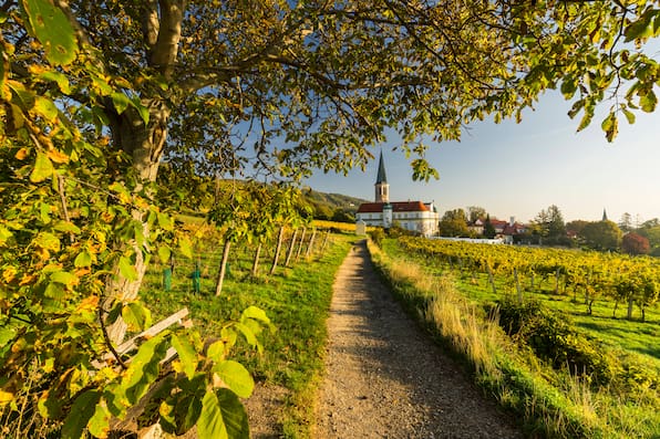 Nur 30 Minuten von Wien entfernt findest du diesen Panorama-Radweg