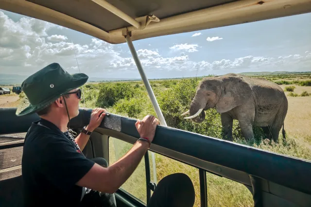 Safari-Traumurlaub in Tansania 🦁