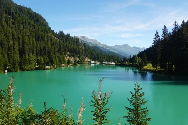 Sommer in Tirol 😎🇦🇹