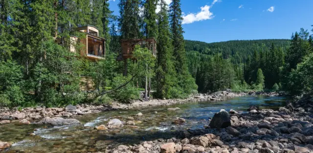 Spektakuläres Baumhaus am Fluss 🌲