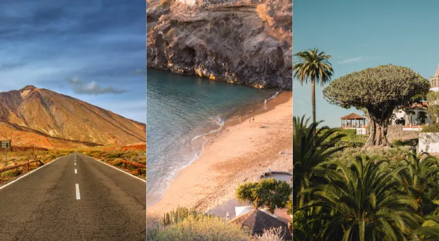 Teneriffa Kontraste: Grüner Norden vs. sonniger Süden 🌴🌋