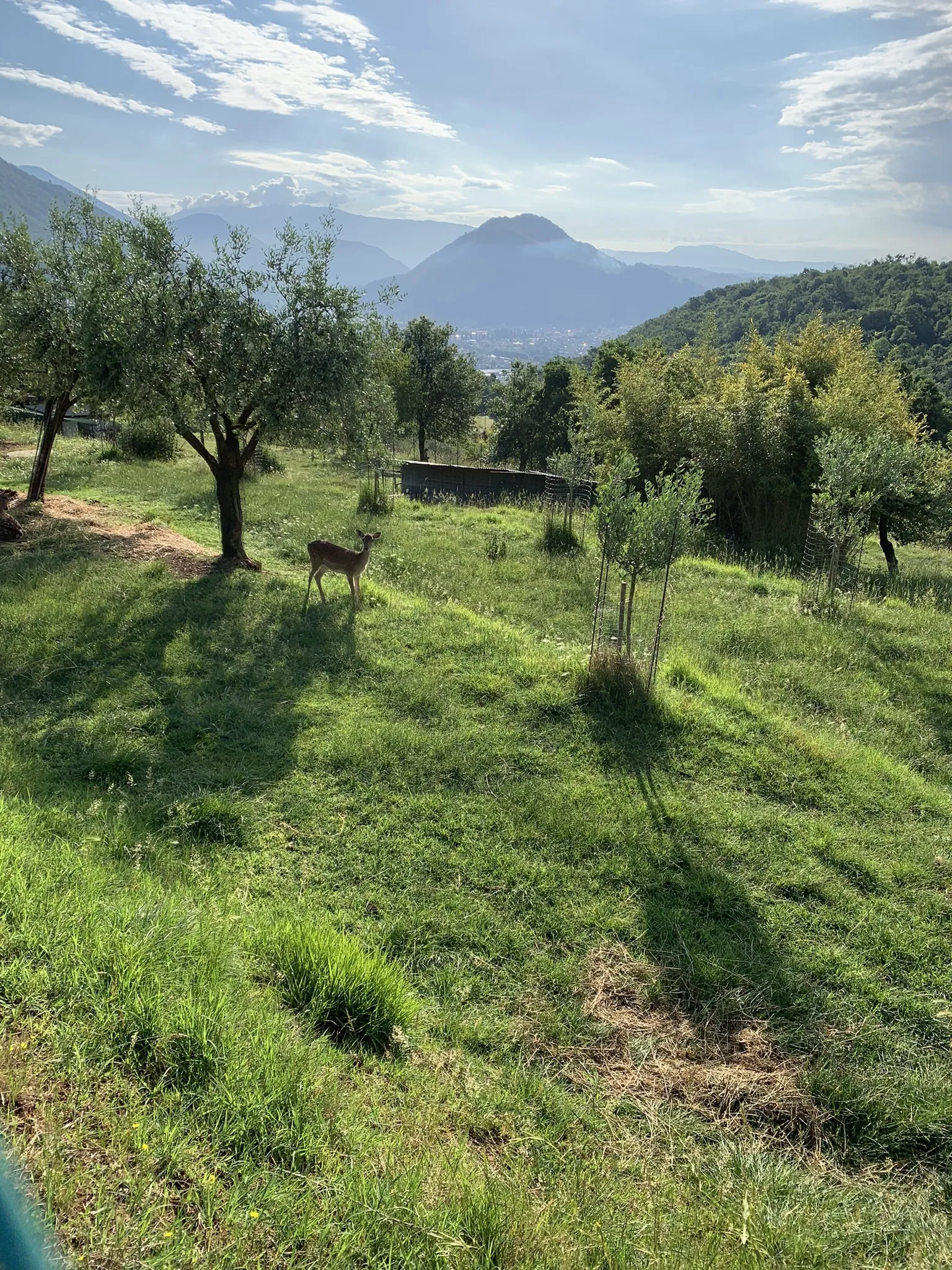 Aussicht